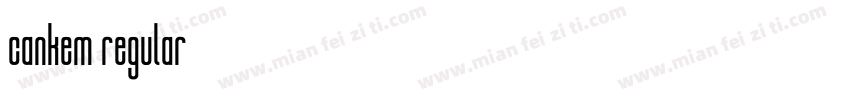 cankem regular字体转换